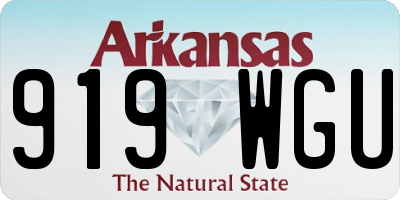 AR license plate 919WGU