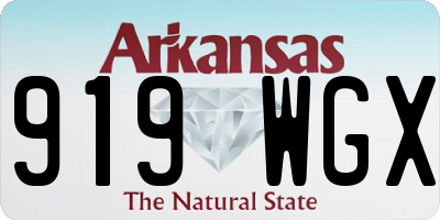 AR license plate 919WGX