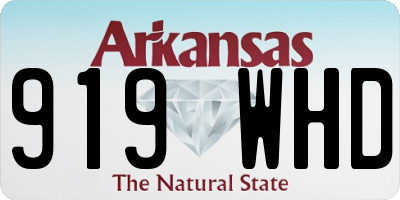 AR license plate 919WHD