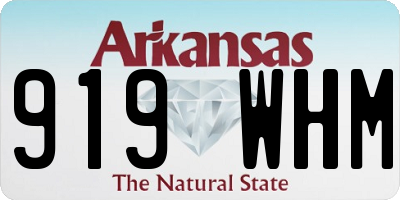 AR license plate 919WHM