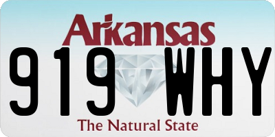 AR license plate 919WHY