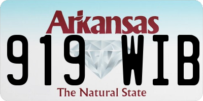 AR license plate 919WIB