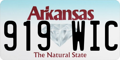 AR license plate 919WIC