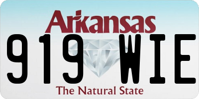 AR license plate 919WIE