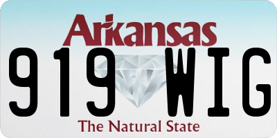 AR license plate 919WIG