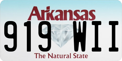 AR license plate 919WII