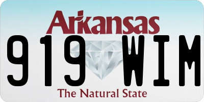 AR license plate 919WIM