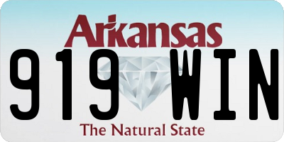 AR license plate 919WIN