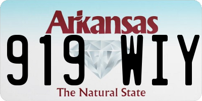 AR license plate 919WIY