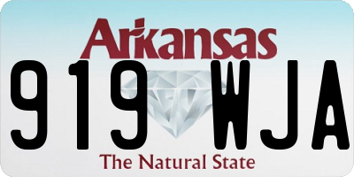 AR license plate 919WJA