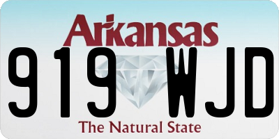 AR license plate 919WJD