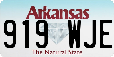 AR license plate 919WJE