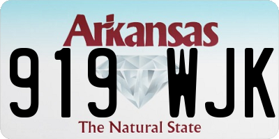 AR license plate 919WJK