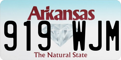 AR license plate 919WJM