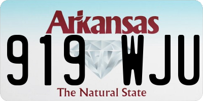 AR license plate 919WJU