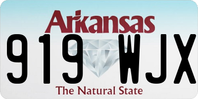 AR license plate 919WJX