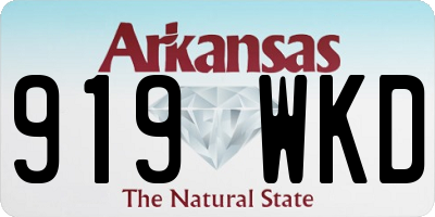 AR license plate 919WKD