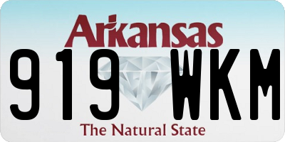 AR license plate 919WKM