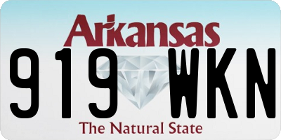 AR license plate 919WKN