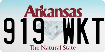 AR license plate 919WKT