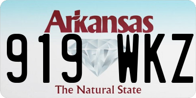 AR license plate 919WKZ