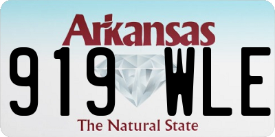 AR license plate 919WLE