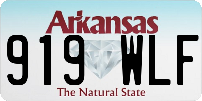 AR license plate 919WLF