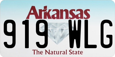 AR license plate 919WLG