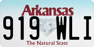 AR license plate 919WLI