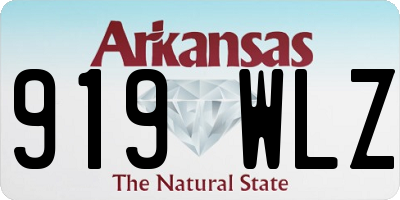 AR license plate 919WLZ