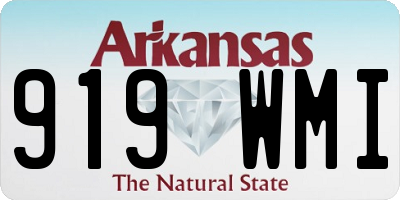 AR license plate 919WMI