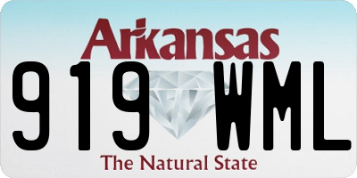 AR license plate 919WML