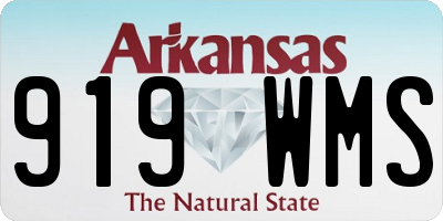 AR license plate 919WMS