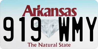 AR license plate 919WMY