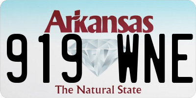 AR license plate 919WNE