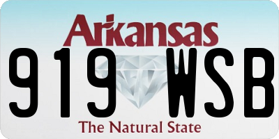 AR license plate 919WSB
