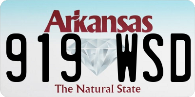 AR license plate 919WSD
