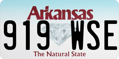 AR license plate 919WSE