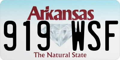 AR license plate 919WSF