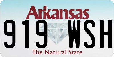 AR license plate 919WSH