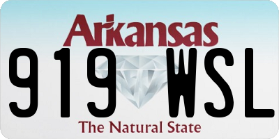 AR license plate 919WSL