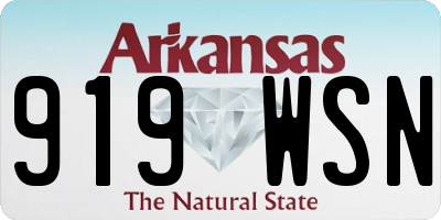 AR license plate 919WSN