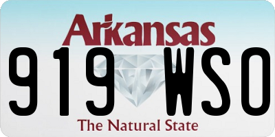 AR license plate 919WSO
