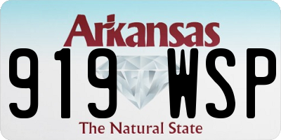 AR license plate 919WSP