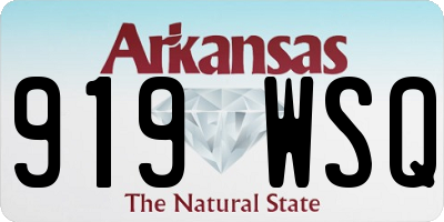 AR license plate 919WSQ