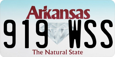AR license plate 919WSS