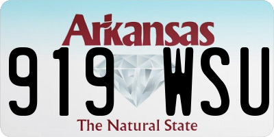 AR license plate 919WSU
