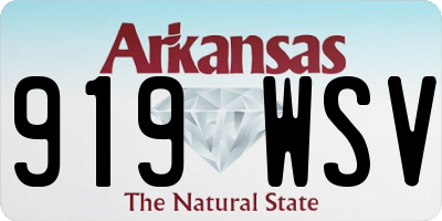 AR license plate 919WSV