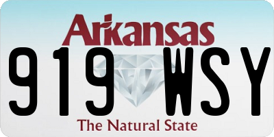 AR license plate 919WSY