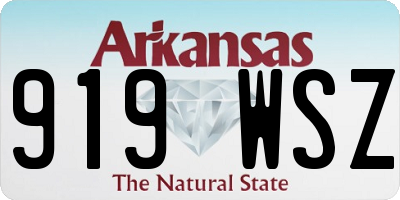 AR license plate 919WSZ